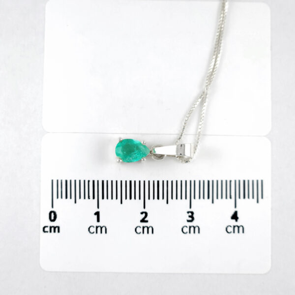 PD036 - Image 4