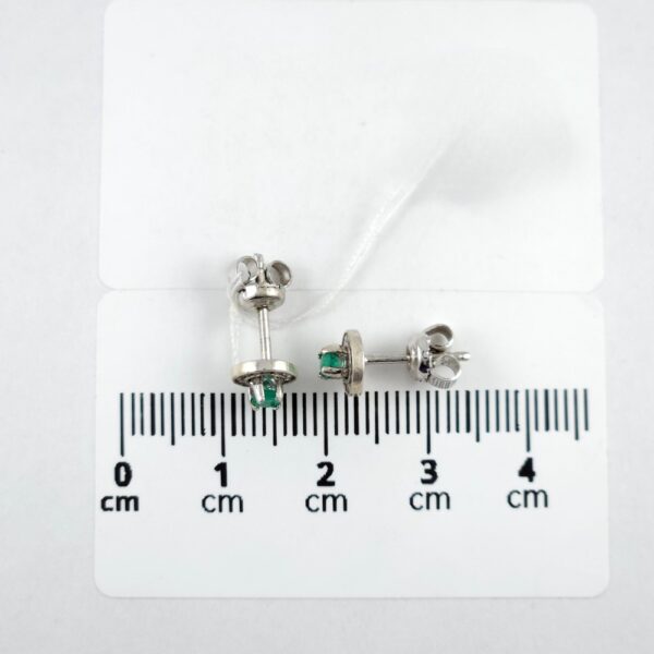 PT248 - Image 3